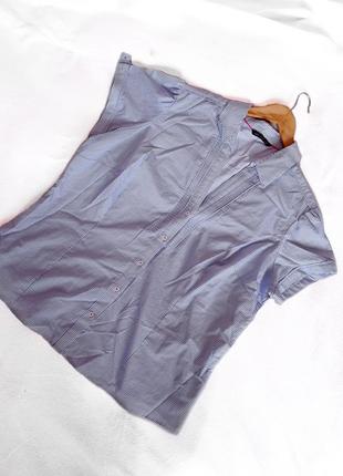 Универсальная базовая рубашка блузка в полоску
