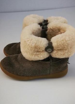 Демисезоны ugg 15 см1 фото