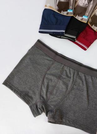 Серые боксеры berrak туреченица