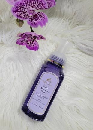 Що подарувати? є ідея! ніжне пінне мило wild lavender mint від bath&body works