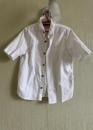 Рубашка с коротким рукавом next