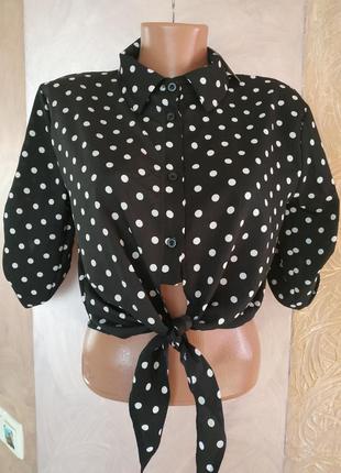 Стильная короткая блузка рубашка made in italy бесплатная доставка1 фото