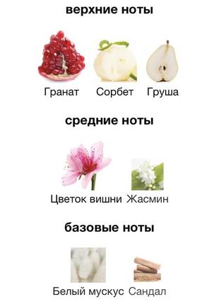 Signorina in fiore salvatore ferragamo