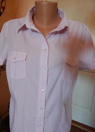 Хлопковая рубашка в полосочку1 фото