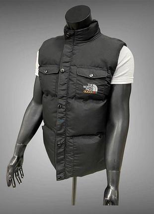Чоловічий жилет tnf