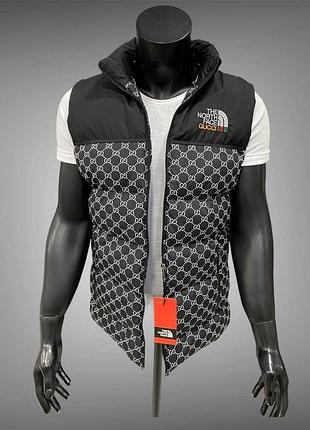 Чоловічий жилет tnf