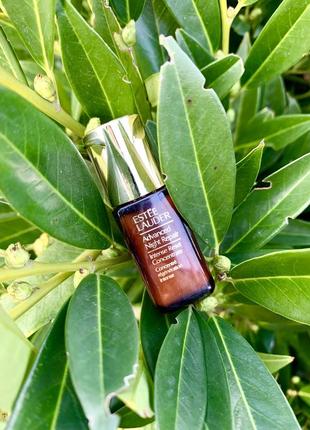 Ночной концентрат с маслом лаванды для лица estée lauder advanced night repair intense reset concentrate