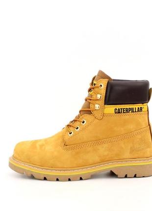 Зимние ботинки caterpillar winter boots classic yellow (зимние желтые ботинки на меху)38,42,43,2 фото