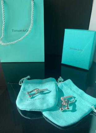 Брендовые серьги