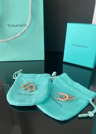 Брендовые серьги