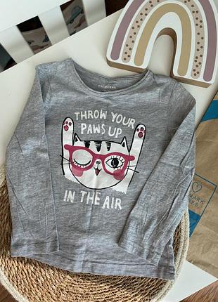 Реглан котик