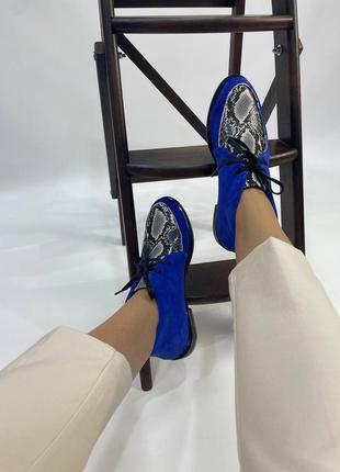 Синие хайтопы туфли электрик натуральная кожа замш питон 36-412 фото