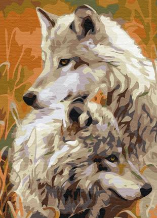 Картина по номерам 40х50 на деревянном подрамнике "пара степных волков" bs518502 фото