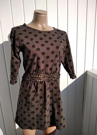 Сукня в горох zara