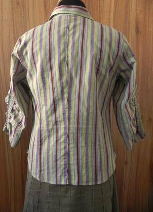 Класна блуза в смужку з рукавом три чверті 52 розміру otto kern2 фото