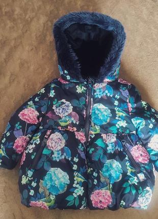 Куртка демисезонная.