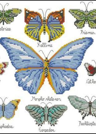 Набір для вишивки хрестиком. розмір: 23*23 см колекція метеликів1 фото