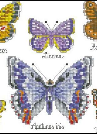 Набор для вышивки крестиком. размер: 20*15 см коллекция прекрасных бабочек1 фото