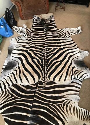 Кожа зебры