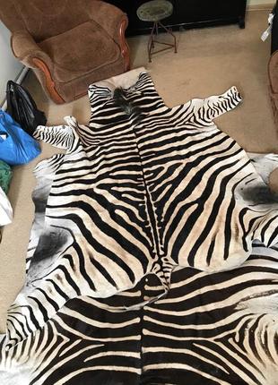 Кожа зебры
