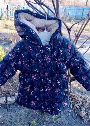 Курточка весна осень