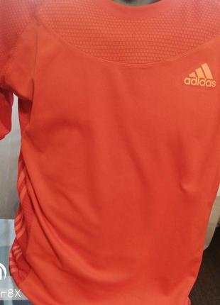 Тенимки спортивные adidas4 фото