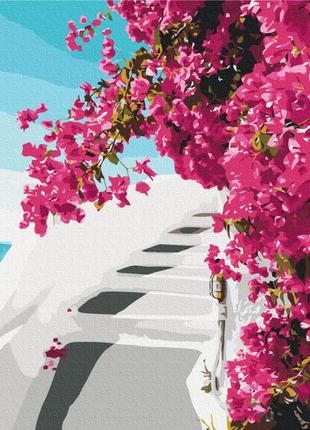 Картина по номерам 40х50 на деревянном подрамнике "цветы санторини" bs52717