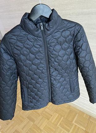 Курточка chicoree quterwear