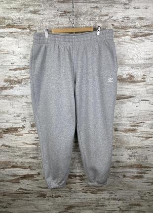 Мужские спортивные штаны LEBRON originals с лампасами dri fit swoosh tech fleece modern