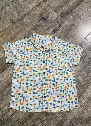Рубашка с коротким рукавом, jojo maman bebe, р. 98-104, 3-4 года
