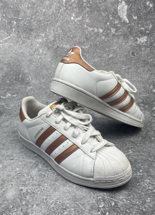 Кросівки adidas superstar