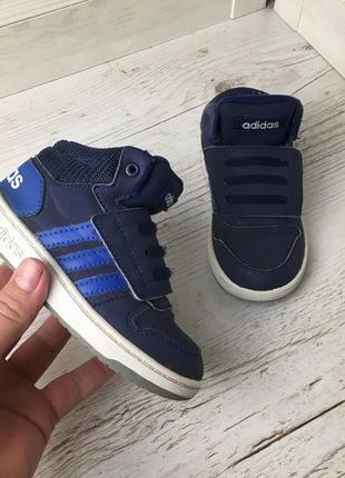 Кроссовки adidas hoops