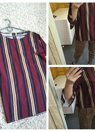 Стильна блуза смуга , рукавчик з воланом, today, p. 12_14