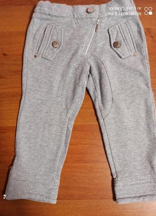 Итальянские бриджи, штаны microbe