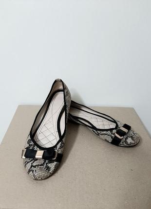 Туфли балетки низкие летние бежевые-чёрные, на низком каблуке кожзам женские животный принт италия2 фото