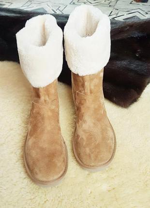 Сапоги  ugg   australia