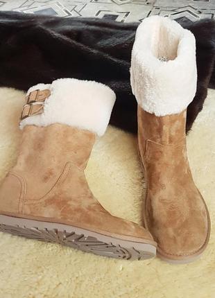 Сапоги  ugg   australia2 фото