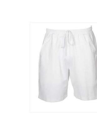 Спортивные шорты fz forza goose shorts белые 2xl3 фото