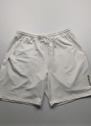 Спортивные шорты fz forza goose shorts белые 2xl
