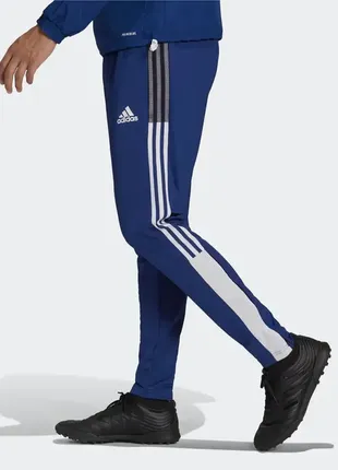 Спортивні штани adidas tiro primeblue warm tracksuit bottoms