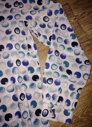 Блузка, сорочка ,розмір 38.катон 💯 . 5