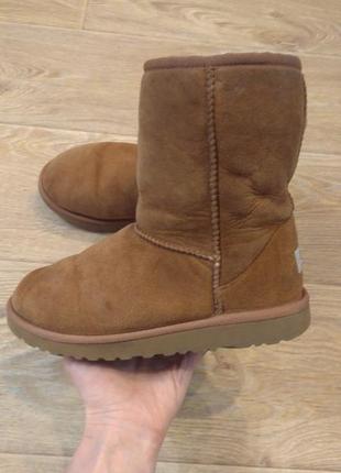 Уггі ugg 35 р. устілка 22.5 див.