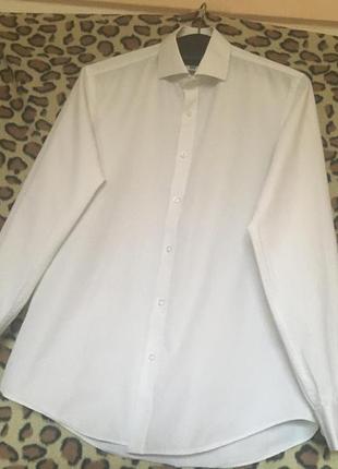 Рубашка белая в синюю точку 15 лет,100%котон taylor &amp; wright".