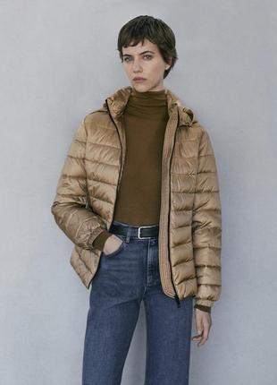 Нова жіноча куртка massimo dutti