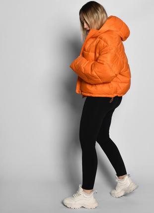 Демісезонна коротка куртка помаранчева | 647256 фото