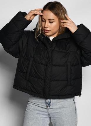 Демисезонная короткая куртка черная | 64756
