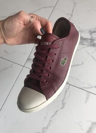 Кеди lacoste, 38р, 24,5см устілка