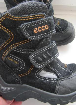 Зимові черевики eco gore-tex екко7 фото