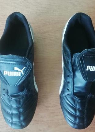 Бутси puma3 фото