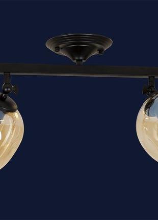 Люстра потолочная на два плафона на планке 756xpr0231f-2 bk+br